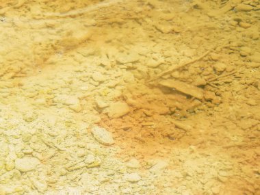 Ölü Deniz İsrail 21 Nisan 2018, İsrail 'deki Ölü Deniz' den kristal tuza yakın çekim