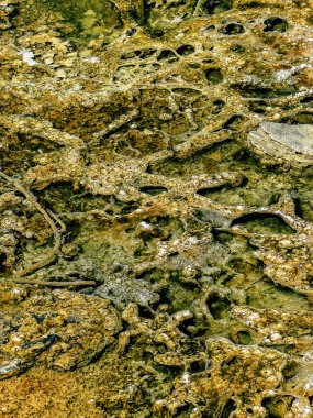 Ölü Deniz İsrail 21 Nisan 2018, İsrail 'deki Ölü Deniz' den kristal tuza yakın çekim