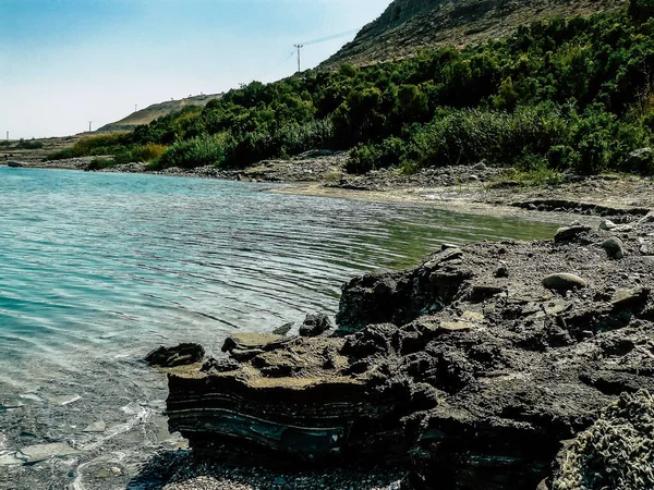 Totes Meer Israel April 2018 Großaufnahme Von Kristallsalz Aus Dem — Stockfoto