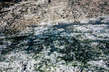 Ölü Deniz İsrail 21 Nisan 2018, İsrail 'deki Ölü Deniz' den kristal tuza yakın çekim