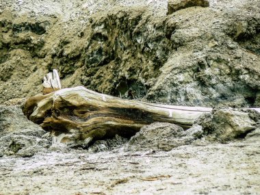 Ölü Deniz İsrail 21 Nisan 2018, İsrail 'deki Ölü Deniz' den kristal tuza yakın çekim