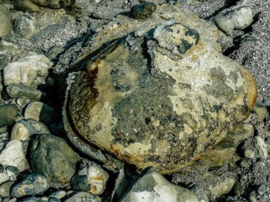 Ölü Deniz İsrail 21 Nisan 2018, İsrail 'deki Ölü Deniz' den kristal tuza yakın çekim