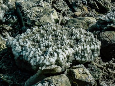 Ölü Deniz İsrail 21 Nisan 2018, İsrail 'deki Ölü Deniz' den kristal tuza yakın çekim