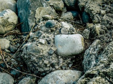 Ölü Deniz İsrail 21 Nisan 2018, İsrail 'deki Ölü Deniz' den kristal tuza yakın çekim