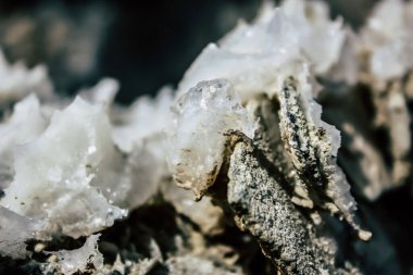 Ölü Deniz İsrail 21 Nisan 2018, İsrail 'deki Ölü Deniz' den kristal tuza yakın çekim