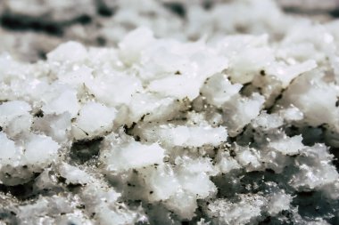 Ölü Deniz İsrail 21 Nisan 2018, İsrail 'deki Ölü Deniz' den kristal tuza yakın çekim