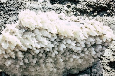 Ölü Deniz İsrail 21 Nisan 2018, İsrail 'deki Ölü Deniz' den kristal tuza yakın çekim