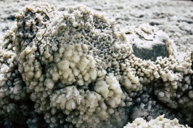 Ölü Deniz İsrail 21 Nisan 2018, İsrail 'deki Ölü Deniz' den kristal tuza yakın çekim