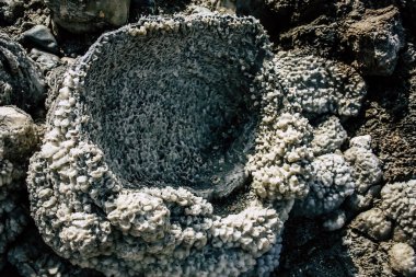 Ölü Deniz İsrail 21 Nisan 2018, İsrail 'deki Ölü Deniz' den kristal tuza yakın çekim