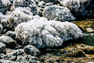 Ölü Deniz İsrail 21 Nisan 2018, İsrail 'deki Ölü Deniz' den kristal tuza yakın çekim