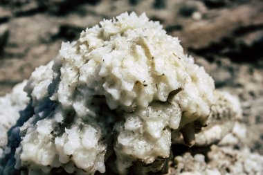 Ölü Deniz İsrail 21 Nisan 2018, İsrail 'deki Ölü Deniz' den kristal tuza yakın çekim