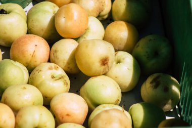 Kıbrıs Rum Kesimi 23 Mayıs 2020 'de Kıbrıs adasındaki Limasol pazarında satılan çeşitli taze meyvelerin manzarası