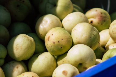 Kıbrıs Rum Kesimi 23 Mayıs 2020 'de Kıbrıs adasındaki Limasol pazarında satılan çeşitli taze meyvelerin manzarası