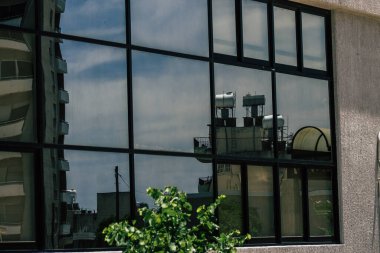 Kıbrıs Rum Kesimi 26 Mayıs 2020 'de Kıbrıs Rum Kesimi' nin Limasol adasındaki bir binanın cephesine baktı