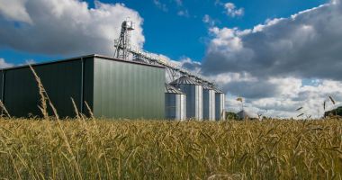 Güzel kırsal manzaralı panorama manzarası rüzgâr türbinleriyle ekilmiş tarlalar. Kırsal alanda kırsal alanda yeşil buğday tarlaları
