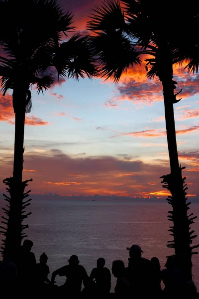 Gölge Hindistan cevizi ağacı ve insanlar