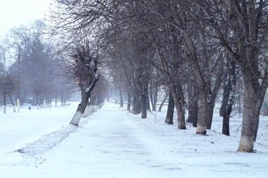 Kar altında kış parkı