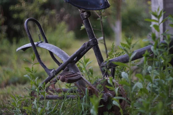 Старий Велосипед Траві — стокове фото
