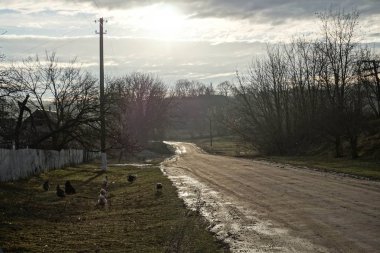 Kırsal kesim hayvanlarla iç içe.
