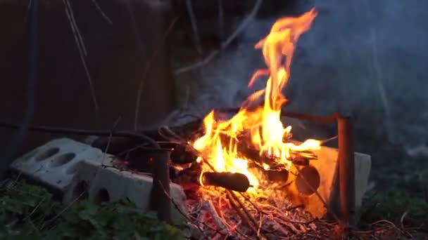 Um perto de um fogo — Vídeo de Stock