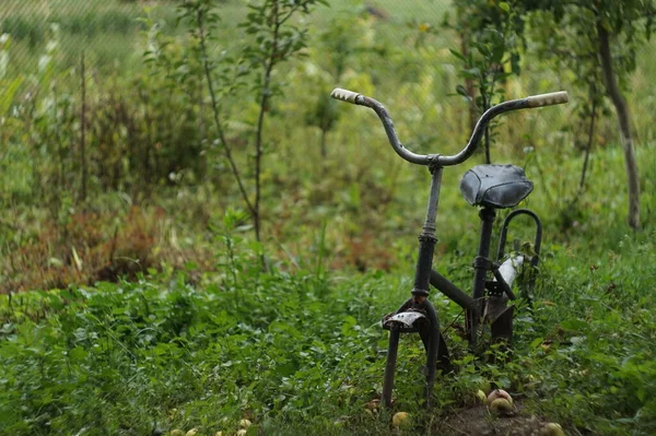 緑の庭で壊れた自転車が — ストック写真