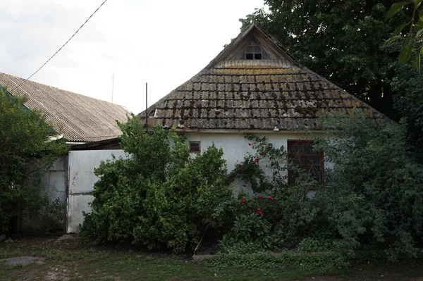 Старый дом с растениями на заднем плане — стоковое фото