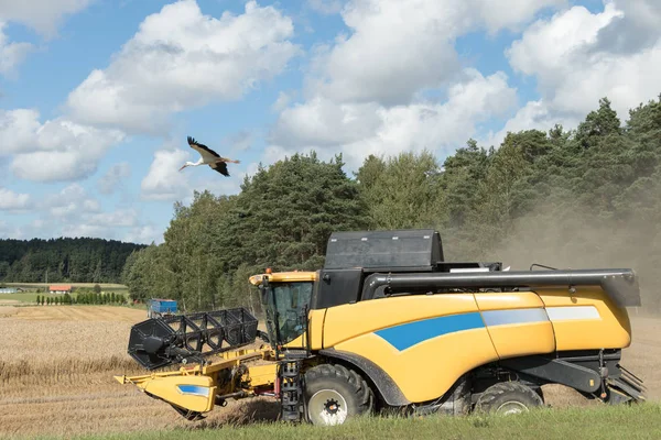 In de val oogst-tijd — Stockfoto