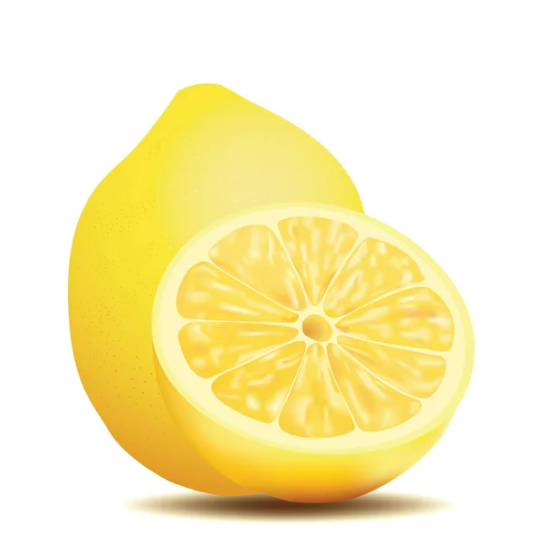Verse citroen, gesneden en hele fruit, realistische vectorillustratie — Stockvector