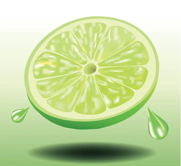 Sliced Fresh Lemon Lime, Fruit, Realistic Vector — Stock vektor