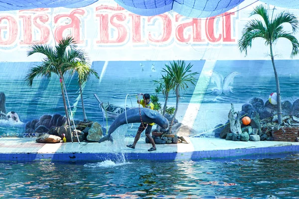 Chanthaburi Tailandia Marzo 2020 Espectáculo Delfines Oasis Sea World Chanthaburi — Foto de Stock