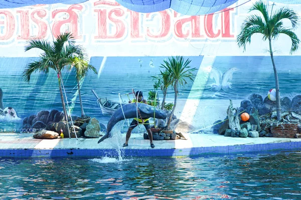 Chanthaburi Tajlandia Marzec 2020 Pokaz Delfinów Oasis Sea World Chanthaburi — Zdjęcie stockowe