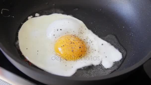 Смажене яйце на сковороді — стокове відео