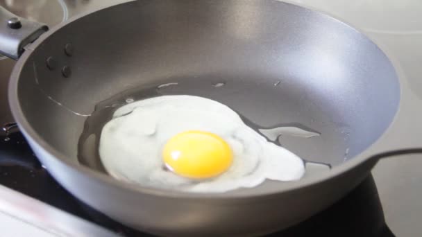 Fried egg in a pan — Stock Video