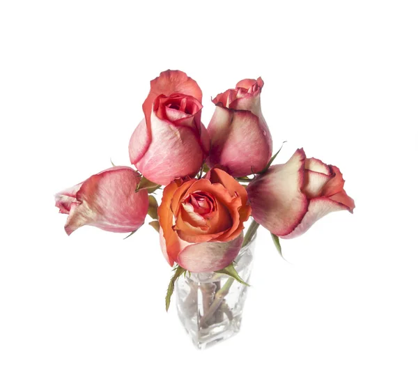Bouquet of roses in a glass vase on a white background — Stock Photo, Image