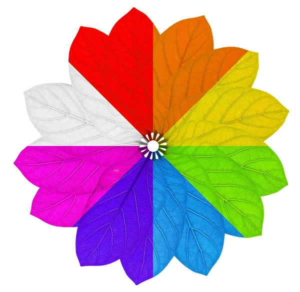 Flower in rainbow colors with a black and white segment — Stock Photo, Image