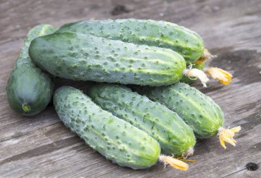 ahşap bir masa üzerinde taze salatalık hasat