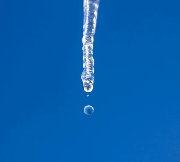 冰柱融化并在蓝天上滴落 图库照片