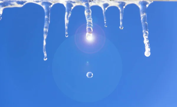 Icicle Smälter Och Droppar Dropp Mot Den Blå Himlen Tidigt — Stockfoto