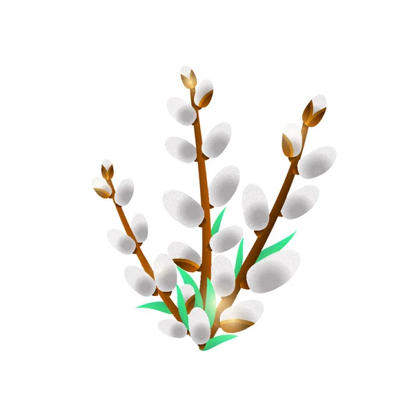 白色背景的柳树束 — 图库矢量图片