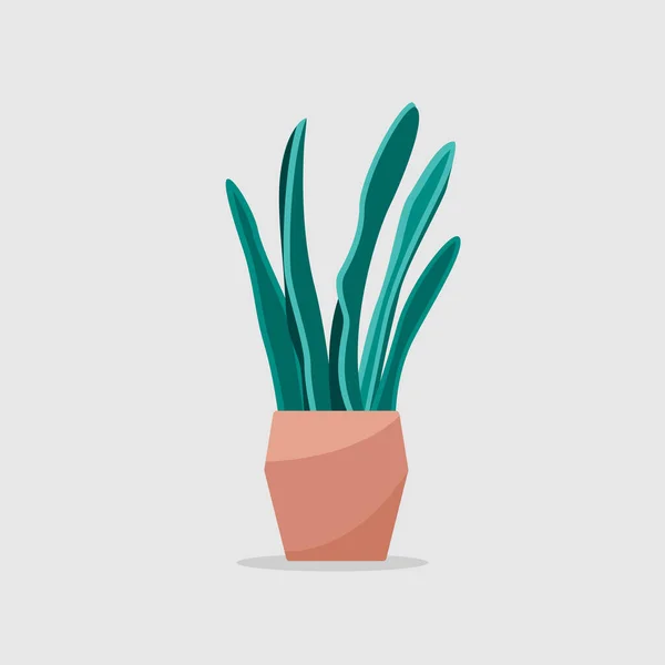 Nowoczesny dom sansevieria, wielki design do wszelkich celów. Płaska zielona ilustracja na szarym tle. — Wektor stockowy