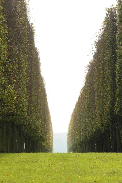 Jardín del Palacio de Versalles — Foto de Stock