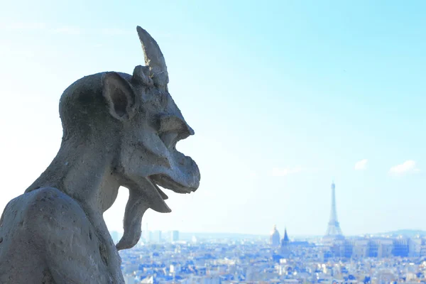 Cidade de Paris e Rio Sena — Fotografia de Stock