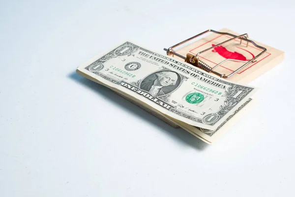 American dollars in mouse trap — Stock Photo, Image