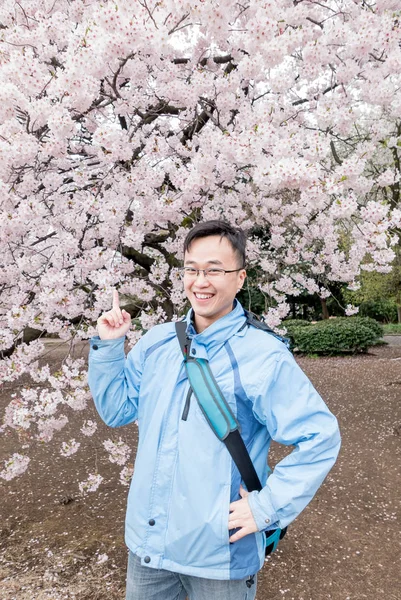 男は幸せそうに笑って 公園で桜と何かを示して — ストック写真