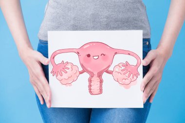 woman with  healthy uterus billboard on the blue background clipart
