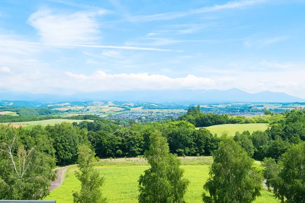 Bellissimo Paesaggio Vicino Alla Città Asahikawa Estate — Foto Stock