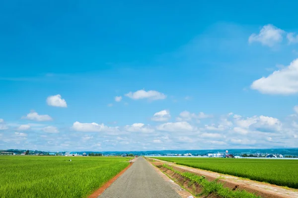 Beautiful Landscape Countryside Hokkaido — Stock Photo, Image