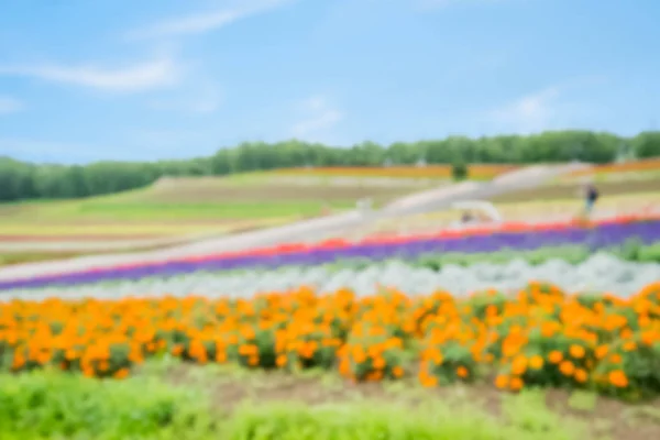 Hermoso Paisaje Shikisai Oka Para Concepto Viaje —  Fotos de Stock