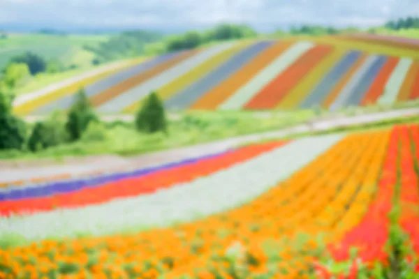 Hermoso Paisaje Shikisai Oka Para Concepto Viaje —  Fotos de Stock