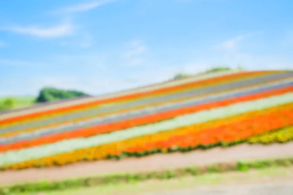 Hermoso Paisaje Shikisai Oka Para Concepto Viaje —  Fotos de Stock